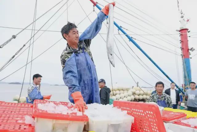 ”战京东到底藏着什么超级王牌?麻将胡了试玩全业态打响“低价(图4) ”战京东到底藏着什么超级王牌?麻将胡了试玩全业态打响“低价(图4)