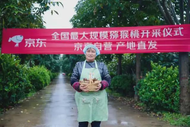 ”战京东到底藏着什么超级王牌?麻将胡了试玩全业态打响“低价(图6) ”战京东到底藏着什么超级王牌?麻将胡了试玩全业态打响“低价(图6)